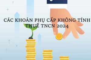 Các khoản phụ cấp không tính thuế TNCN năm 2024?