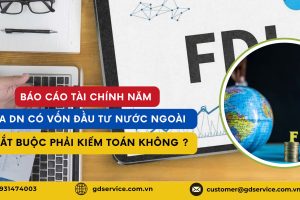 Báo cáo tài chính năm của doanh nghiệp có vốn đầu tư nước ngoài có bắt buộc phải kiểm toán không?