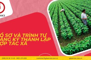 Hồ sơ và trình tự đăng ký thành lập Hợp tác xã được thực hiện như thế nào?