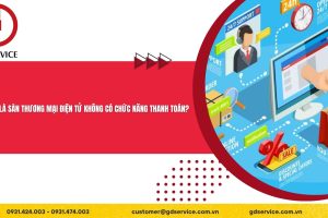 Thế nào là sàn thương mại điện tử không có chức năng thanh toán?