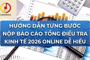 Hướng dẫn từng bước nộp báo cáo Tổng điều tra kinh tế 2026 online dễ hiểu