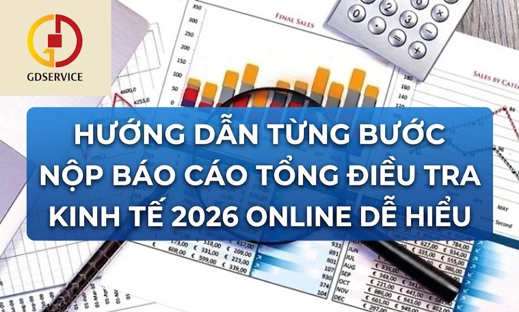 Hướng dẫn từng bước nộp báo cáo Tổng điều tra kinh tế 2026 online dễ hiểu