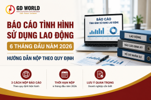 Báo Cáo Tình Hình Sử Dụng Lao Động 6 Tháng Đầu Năm 2026: Hướng Dẫn Nộp Theo Quy Định