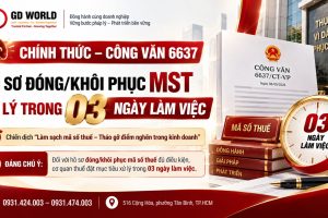 Công văn 6637/CT-VP: Đẩy nhanh xử lý hồ sơ đóng, khôi phục mã số thuế trong 03 ngày làm việc
